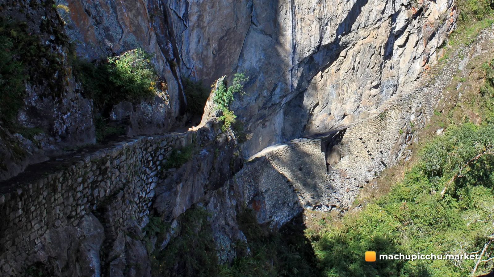 TICKET 1D: Upper Terrace + Inka bridge